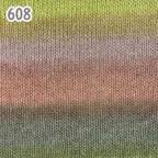���̑��̉摜