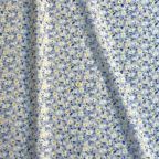 ���̑��̉摜