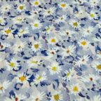 ���̑��̉摜