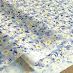 ���̑��̉摜