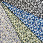 ���̑��̉摜