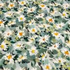 ���̑��̉摜