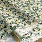 ���̑��̉摜