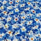 ���̑��̉摜