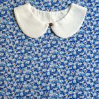 ���̑��̉摜