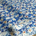 ���̑��̉摜