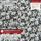 ���̑��̉摜