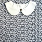 ���̑��̉摜