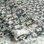 ���̑��̉摜