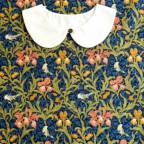 ���̑��̉摜