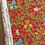 ���̑��̉摜