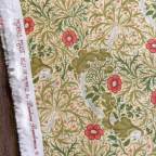 ���̑��̉摜