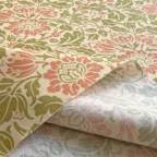 ���̑��̉摜