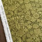 ���̑��̉摜