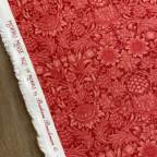 ���̑��̉摜