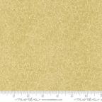 ���̑��̉摜