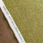 ���̑��̉摜