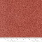 ���̑��̉摜