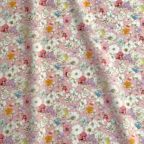 ���̑��̉摜