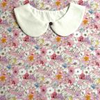 ���̑��̉摜