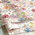 ���̑��̉摜