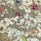 ���̑��̉摜