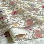 ���̑��̉摜