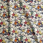 ���̑��̉摜