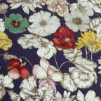 ���̑��̉摜