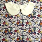 ���̑��̉摜