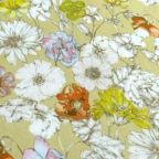 ���̑��̉摜