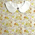 ���̑��̉摜