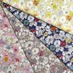 ���̑��̉摜