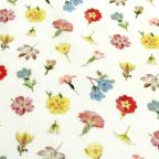 ���̑��̉摜