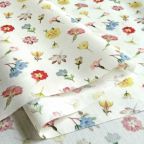 ���̑��̉摜