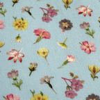 ���̑��̉摜