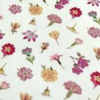 ���̑��̉摜