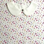 ���̑��̉摜