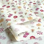 ���̑��̉摜