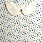 ���̑��̉摜