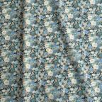 ���̑��̉摜