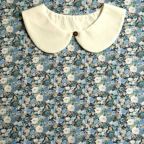 ���̑��̉摜