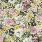 ���̑��̉摜