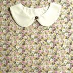 ���̑��̉摜