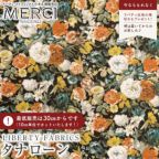 ���̑��̉摜