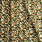 ���̑��̉摜