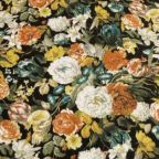 ���̑��̉摜