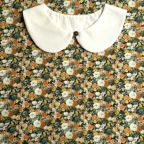 ���̑��̉摜