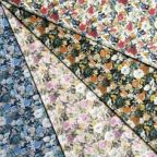 ���̑��̉摜