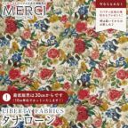 ���̑��̉摜